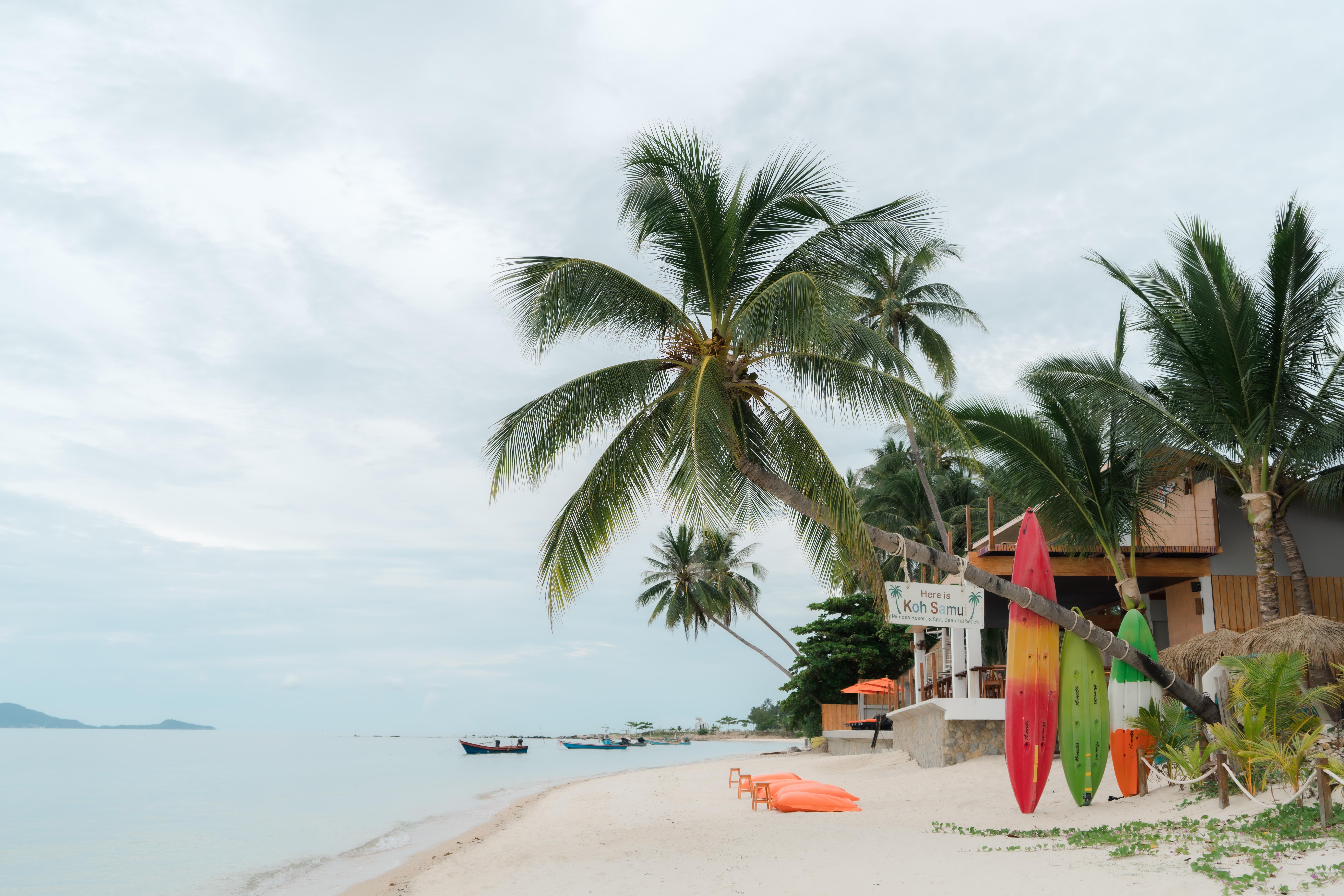 Mimosa Resort & Spa Koh Samui Zewnętrze zdjęcie